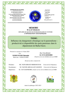 Influence du changement climatique sur le pastoralisme : productivite et disponibilité des puits pastoraux