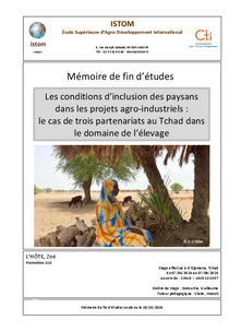 Mémoire last version